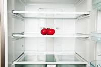 Холодильник напрокат
